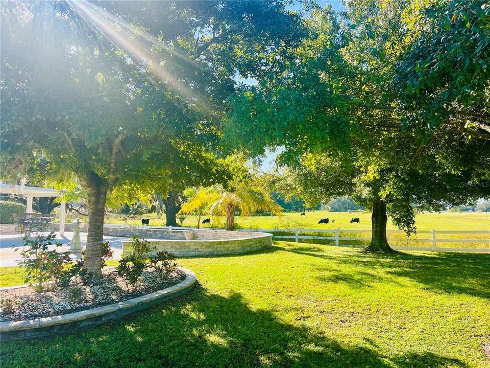 En Venta: $217,900 (0.16 acres)