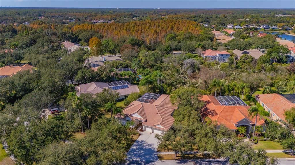 合同活跃: $3,250 (4 贝兹, 3 浴室, 3248 平方英尺)