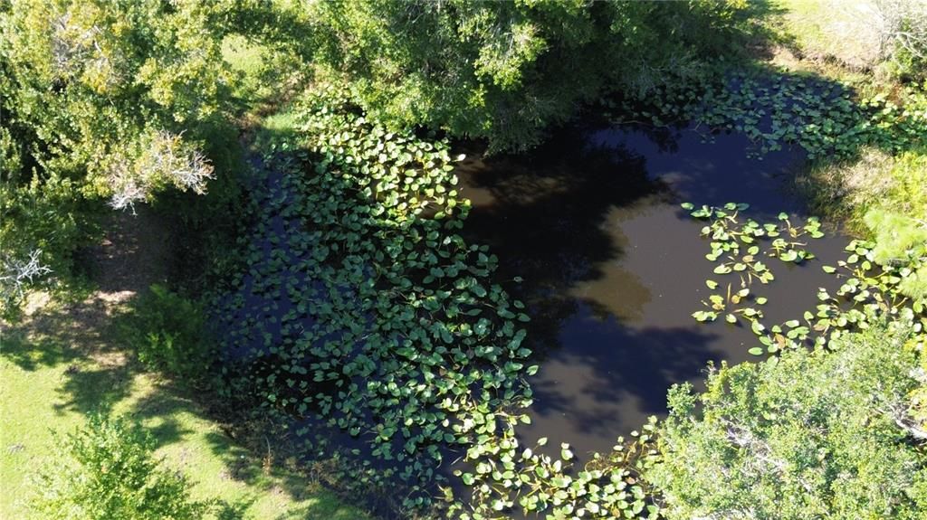 En Venta: $599,990 (3 camas, 2 baños, 2134 Pies cuadrados)