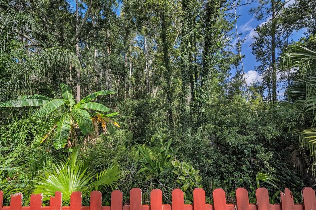 На продажу: $620,000 (4 спален, 2 ванн, 2305 Квадратных фут)