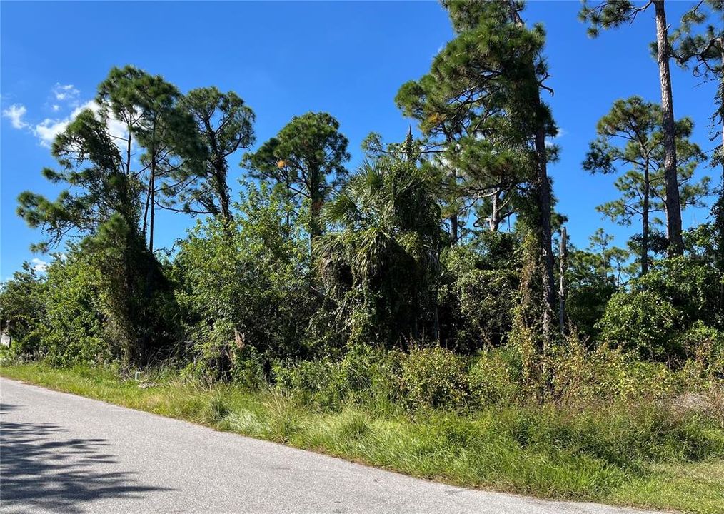 Activo con contrato: $18,000 (0.23 acres)