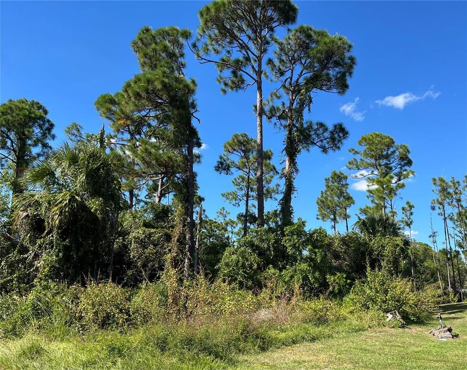 Activo con contrato: $18,000 (0.23 acres)