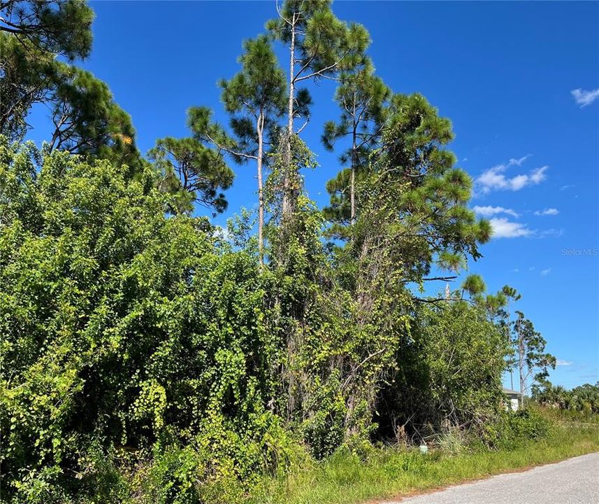 Activo con contrato: $18,000 (0.23 acres)