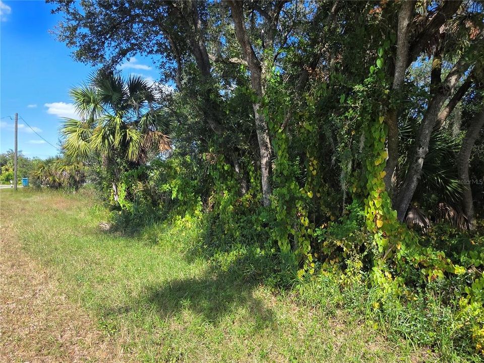 待售: $22,900 (0.23 acres)