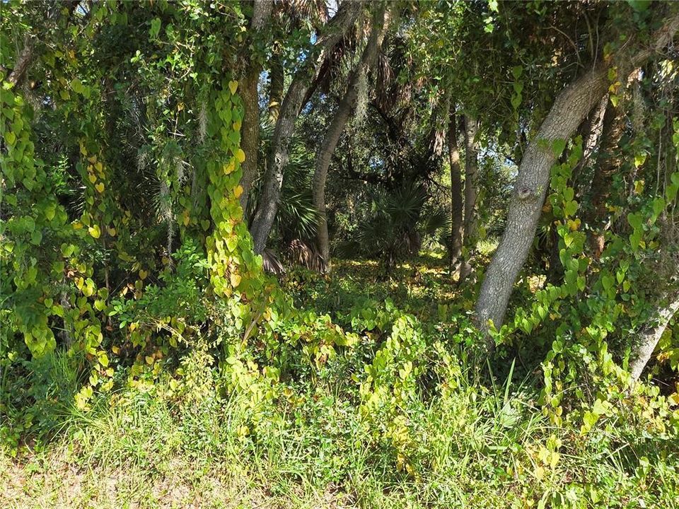 待售: $22,900 (0.23 acres)