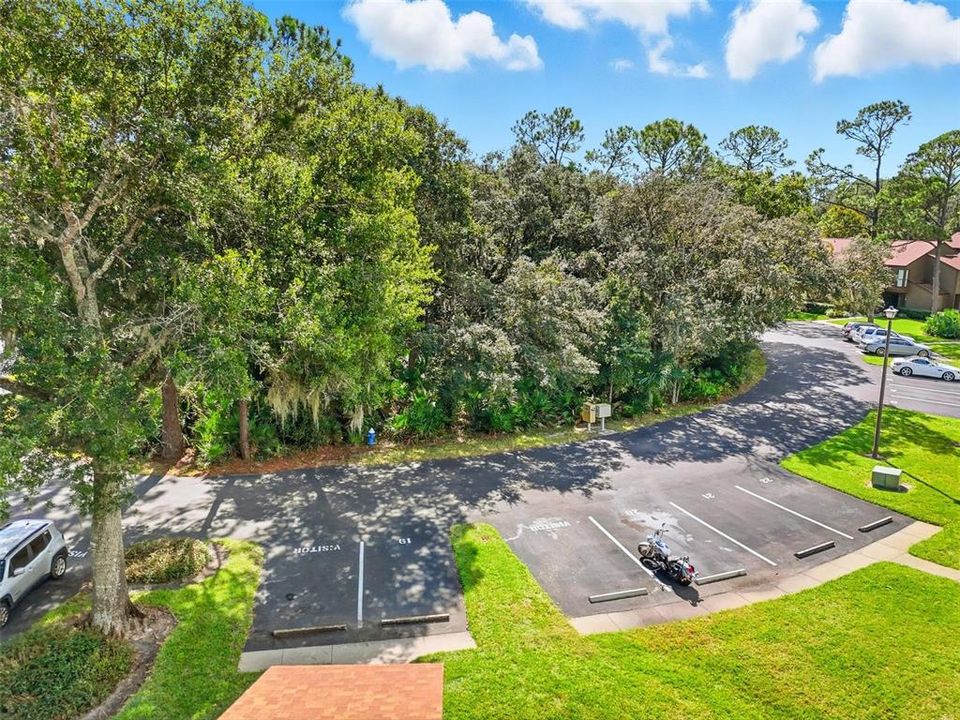 На продажу: $234,000 (2 спален, 2 ванн, 1098 Квадратных фут)