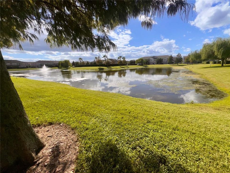 出租: $2,395 (3 贝兹, 2 浴室, 2039 平方英尺)