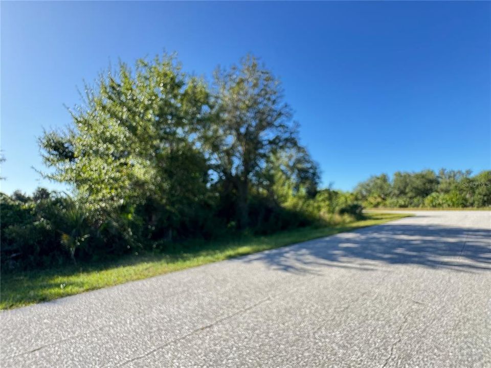 En Venta: $37,000 (0.35 acres)