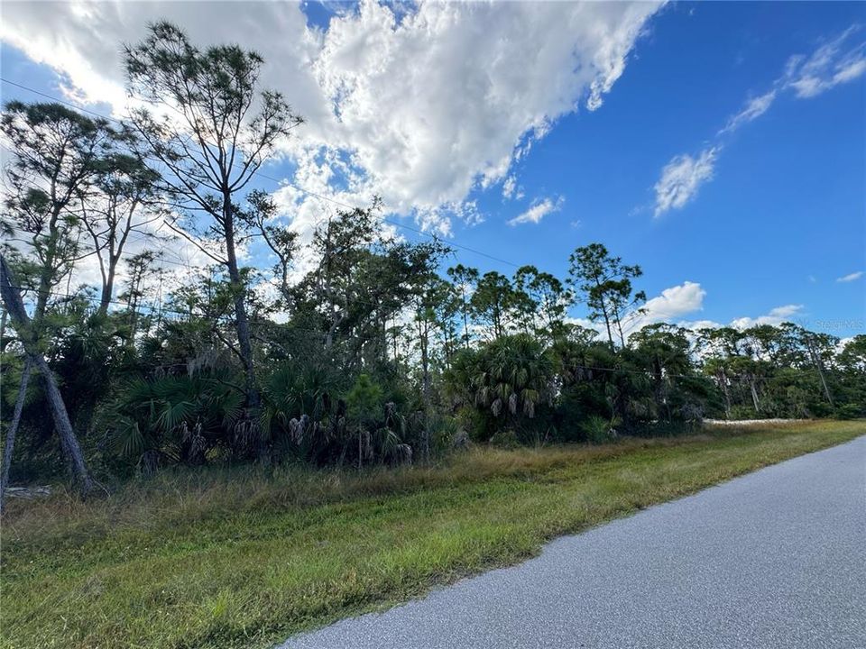 For Sale: $20,000 (0.23 acres)