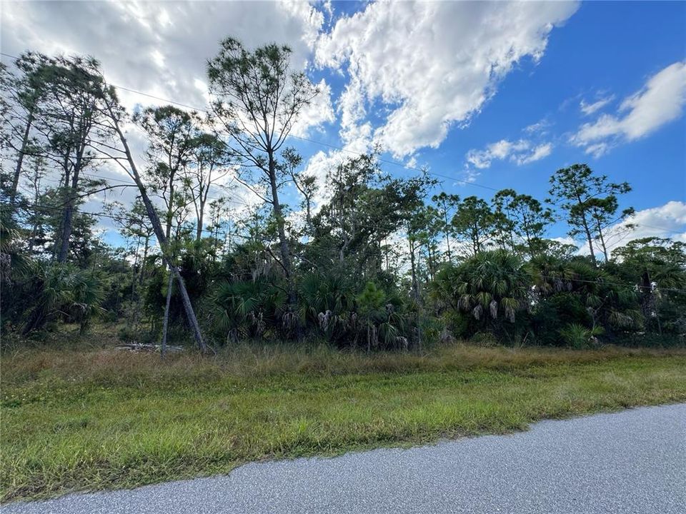 For Sale: $20,000 (0.23 acres)