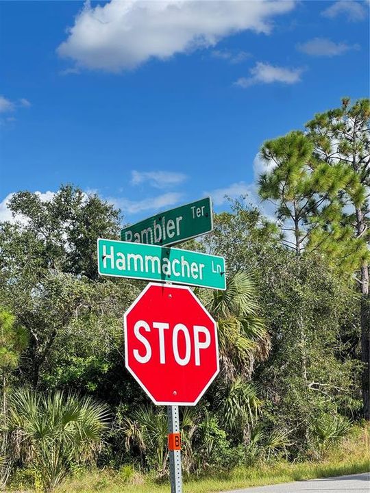 For Sale: $20,000 (0.23 acres)