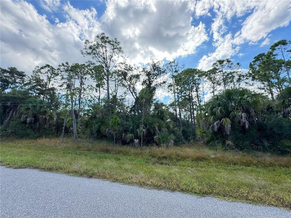 For Sale: $20,000 (0.23 acres)