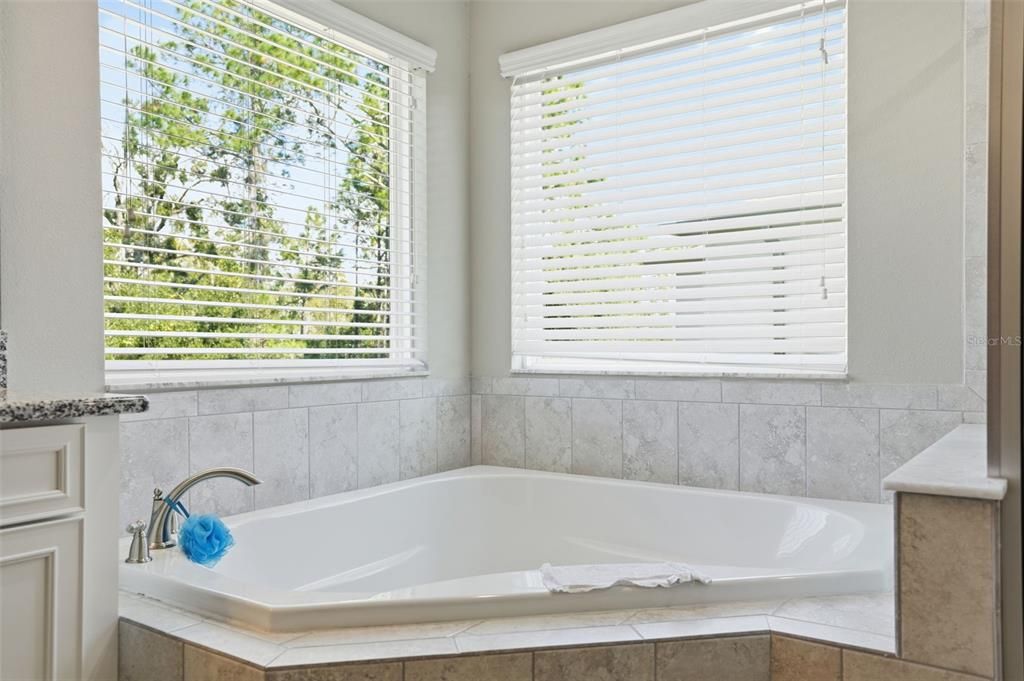 На продажу: $635,000 (4 спален, 2 ванн, 3292 Квадратных фут)