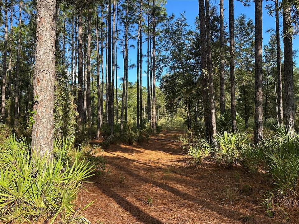 For Sale: $225,000 (2.75 acres)