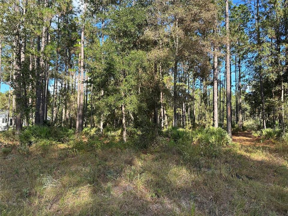 For Sale: $225,000 (2.75 acres)