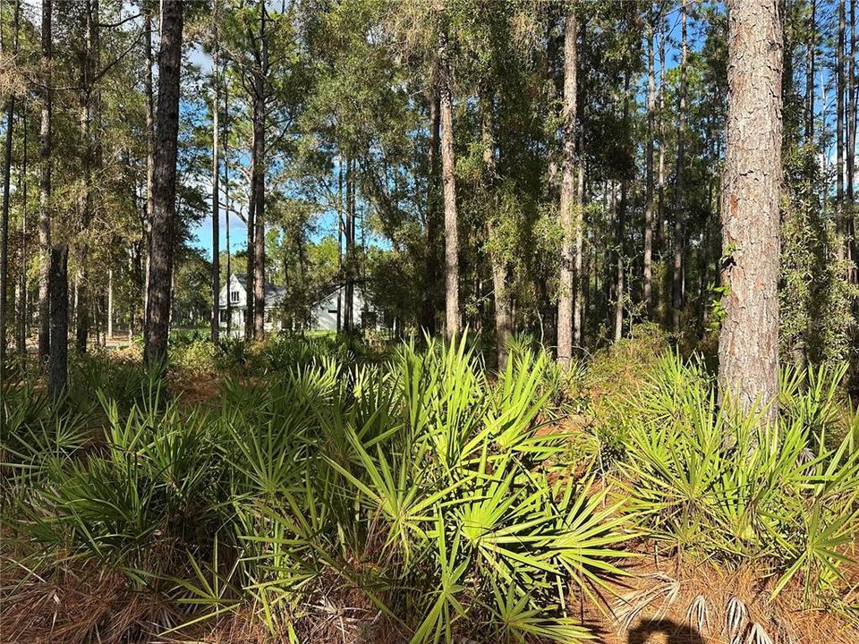 For Sale: $225,000 (2.75 acres)