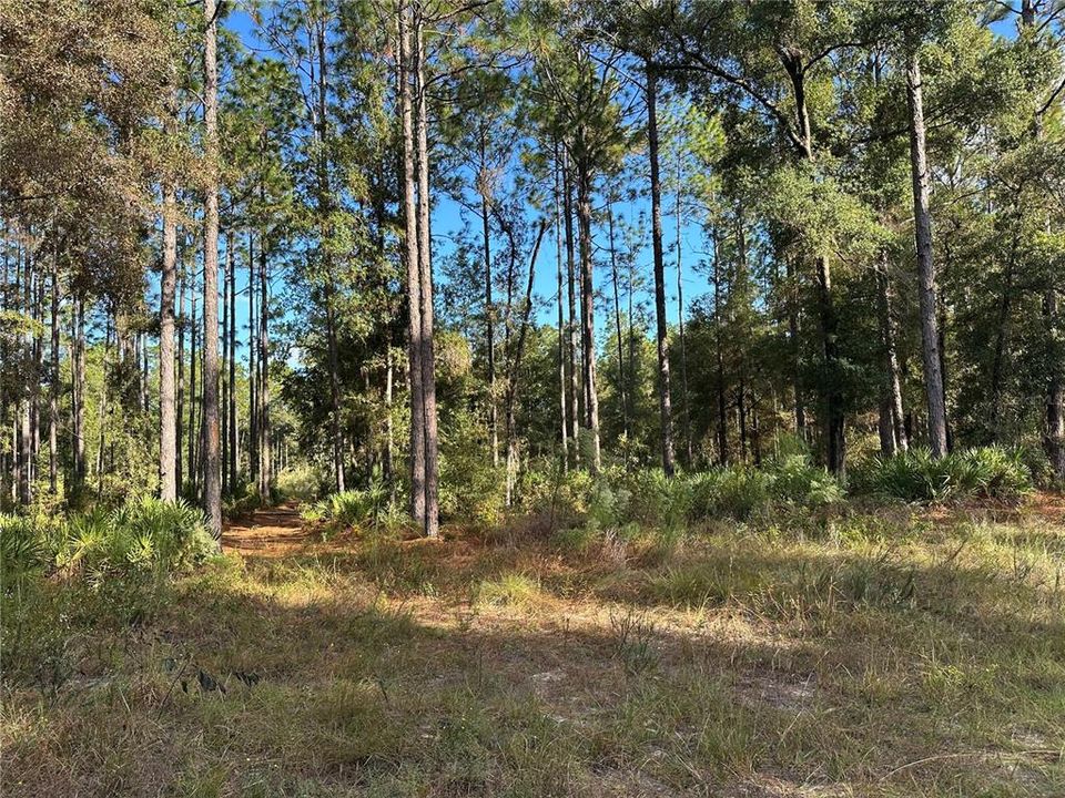 For Sale: $225,000 (2.75 acres)