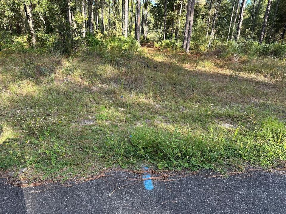 For Sale: $225,000 (2.75 acres)