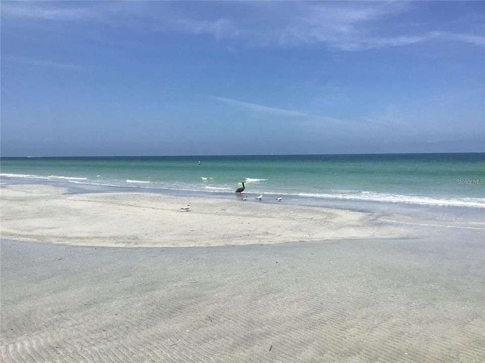 For Rent: $4,200 (3 beds, 2 baths, 1624 Square Feet)