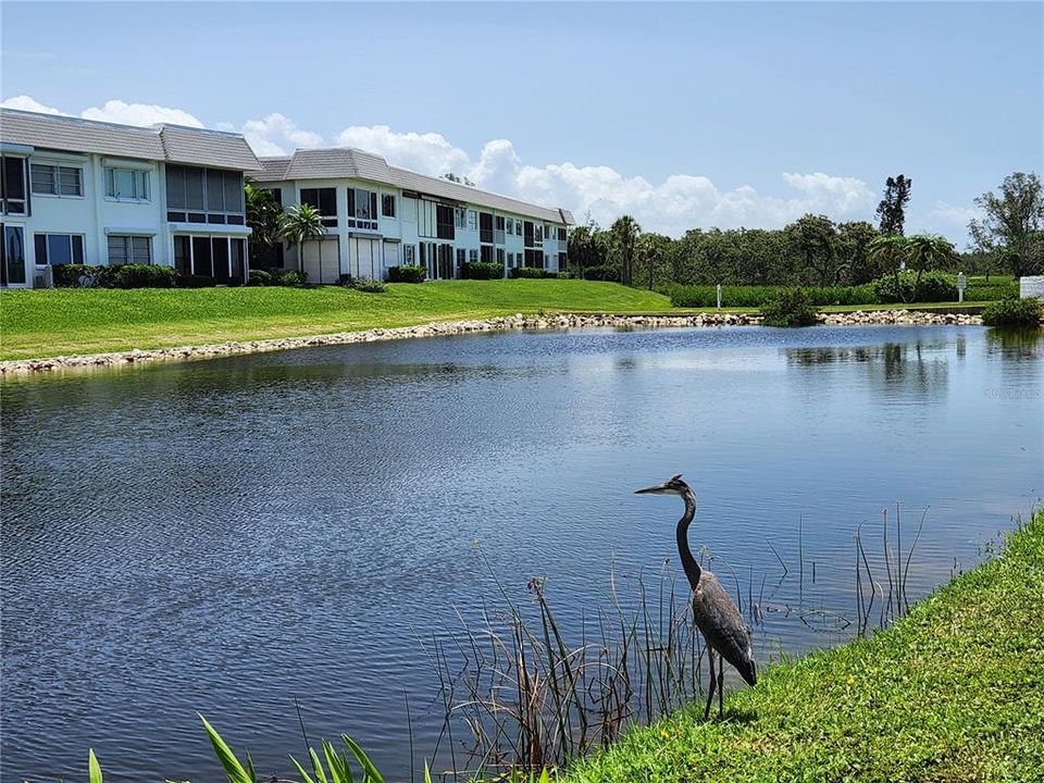 For Sale: $315,000 (2 beds, 2 baths, 1556 Square Feet)