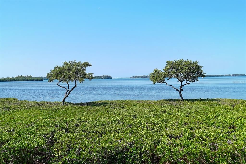 For Sale: $315,000 (2 beds, 2 baths, 1556 Square Feet)