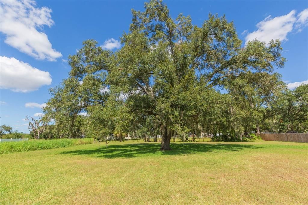 En Venta: $250,000 (3 camas, 2 baños, 960 Pies cuadrados)