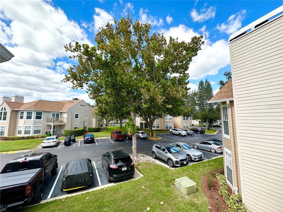 For Sale: $200,000 (3 beds, 2 baths, 1138 Square Feet)