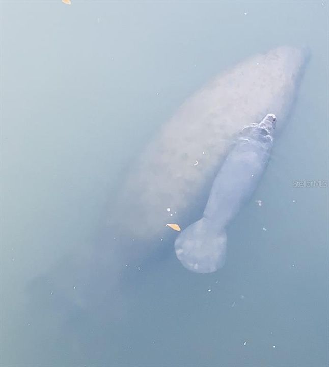 For Sale: $599,000 (2 beds, 2 baths, 924 Square Feet)