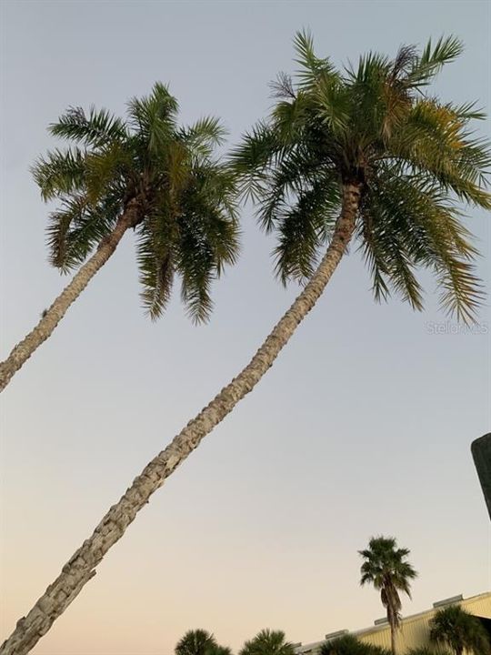 For Sale: $599,000 (2 beds, 2 baths, 924 Square Feet)