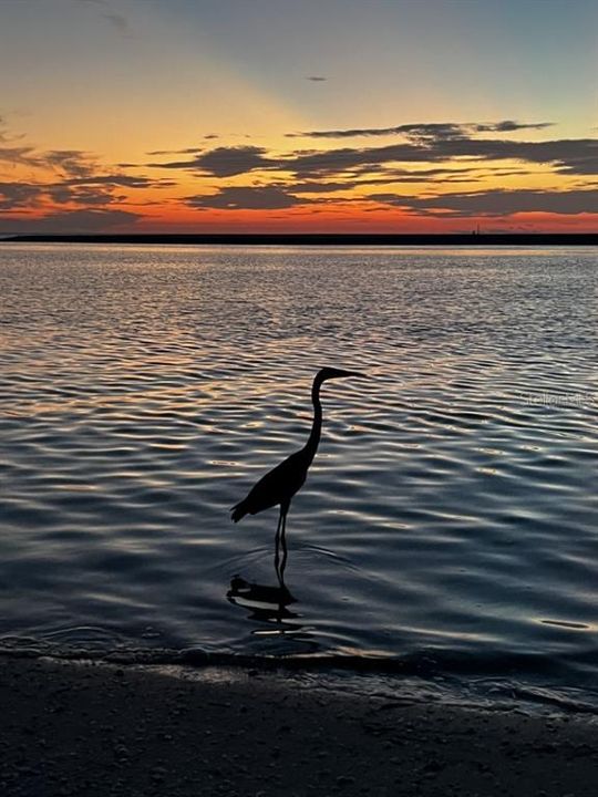 For Sale: $599,000 (2 beds, 2 baths, 924 Square Feet)