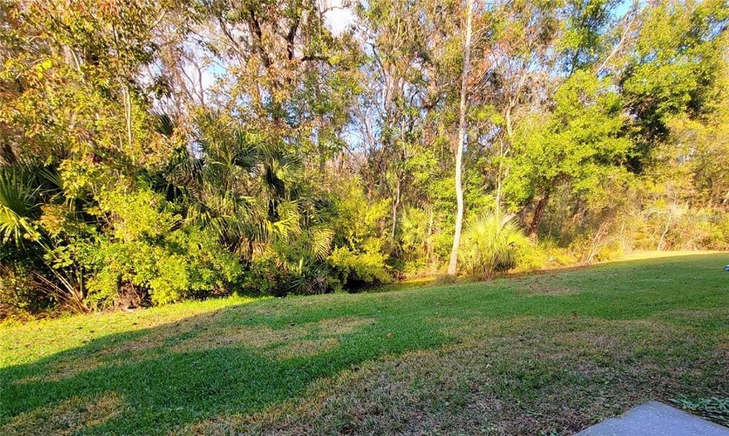 合同活跃: $1,595 (2 贝兹, 2 浴室, 1296 平方英尺)