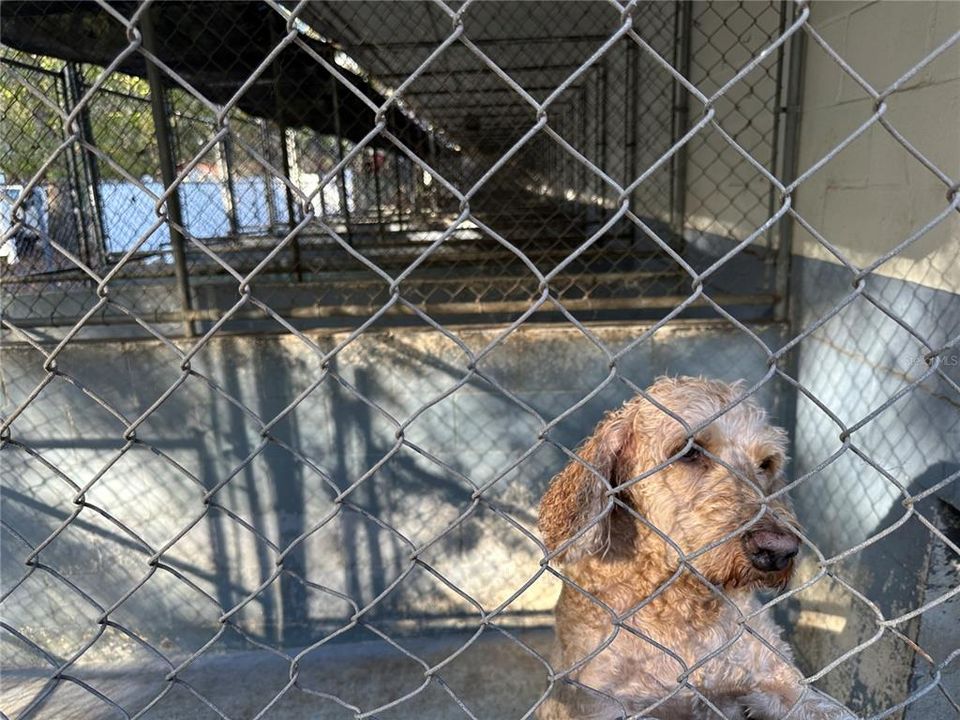 En Venta: $1,950,000 (3 camas, 2 baños, 4904 Pies cuadrados)