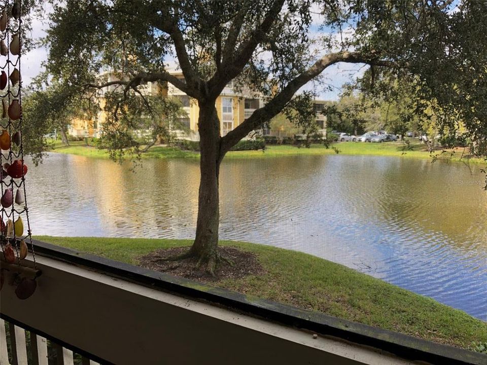 待售: $149,900 (1 贝兹, 1 浴室, 685 平方英尺)