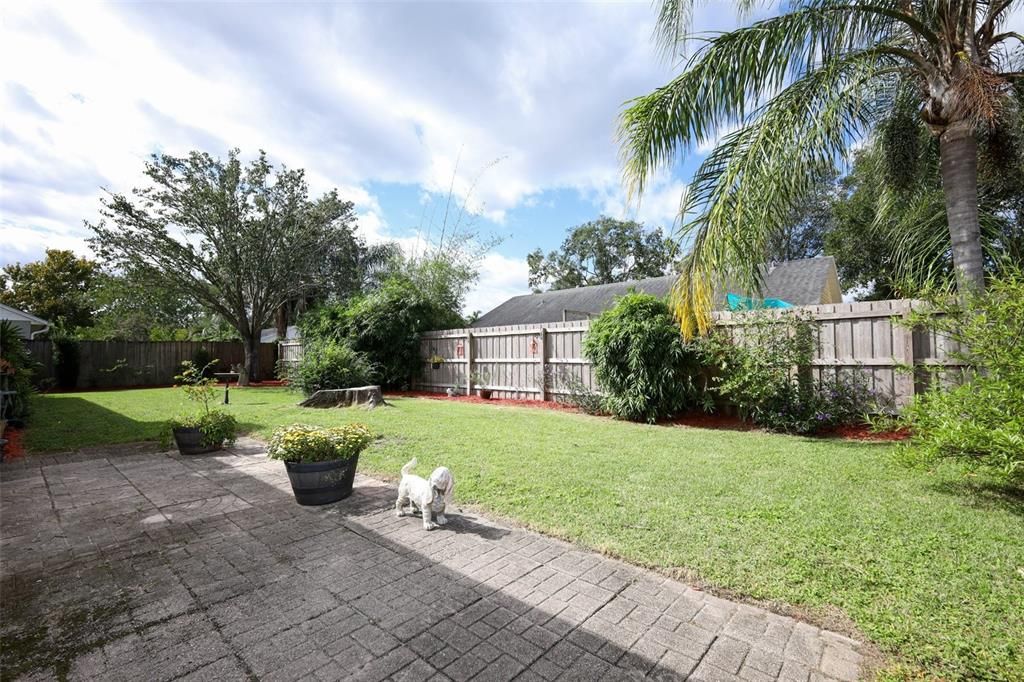 Active With Contract: $275,000 (2 beds, 2 baths, 1195 Square Feet)