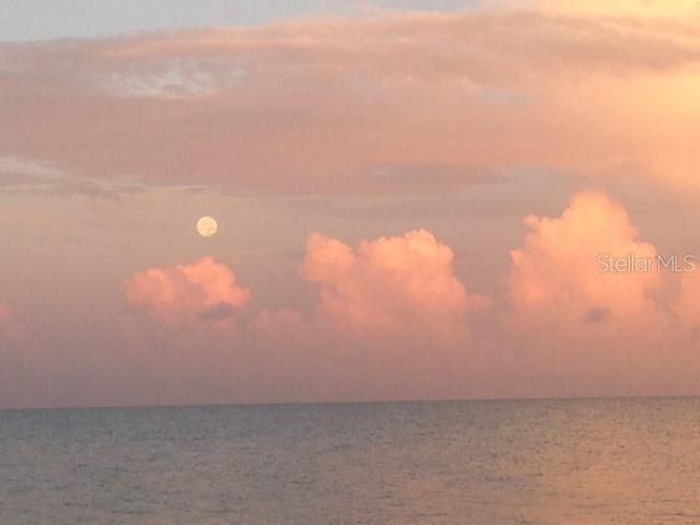 For Sale: $649,000 (2 beds, 2 baths, 924 Square Feet)