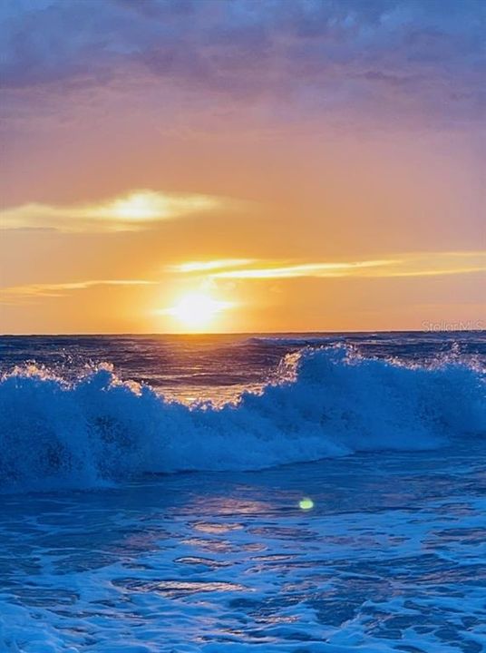 For Sale: $649,000 (2 beds, 2 baths, 924 Square Feet)