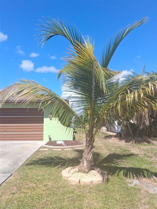 For Sale: $323,000 (3 beds, 2 baths, 1743 Square Feet)