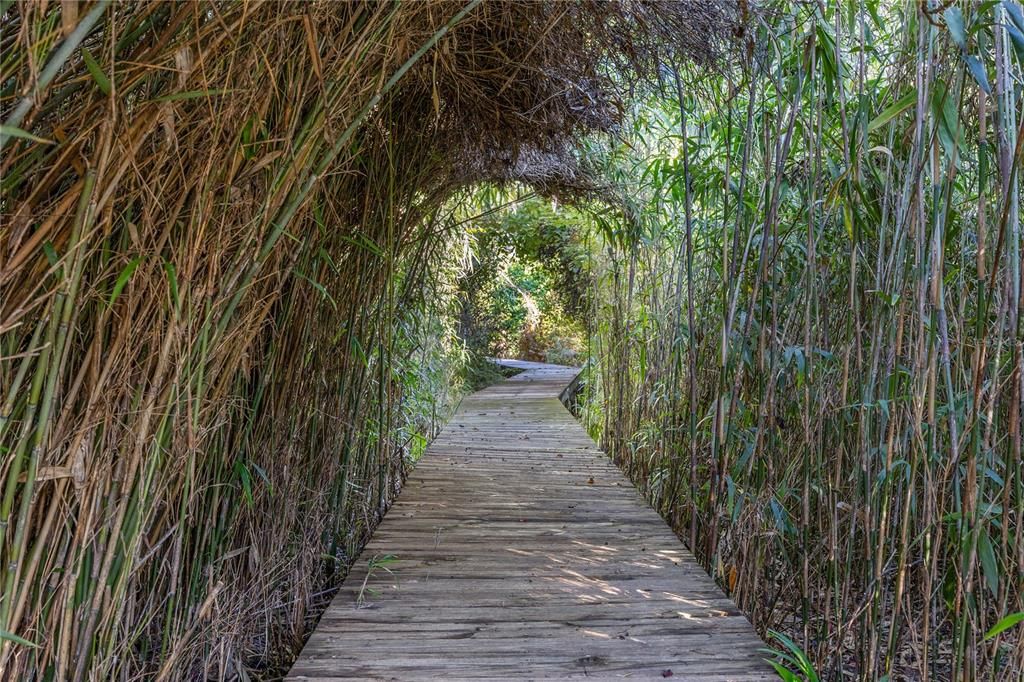 待售: $449,000 (3 贝兹, 2 浴室, 1460 平方英尺)