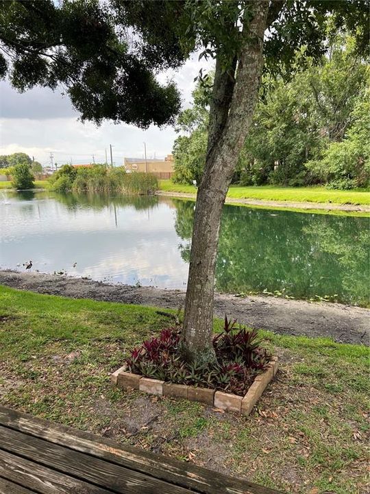 Под контрактом: $210,000 (3 спален, 2 ванн, 1316 Квадратных фут)