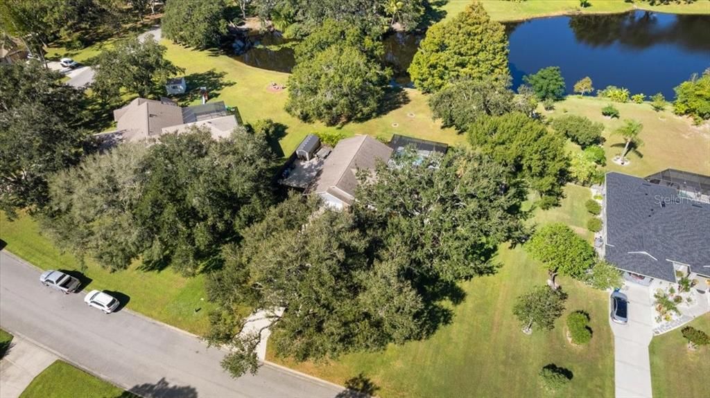 待售: $627,500 (3 贝兹, 2 浴室, 1646 平方英尺)