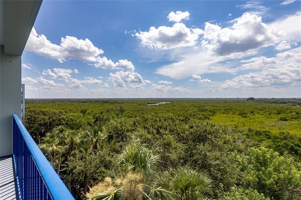 For Sale: $430,000 (3 beds, 2 baths, 1600 Square Feet)