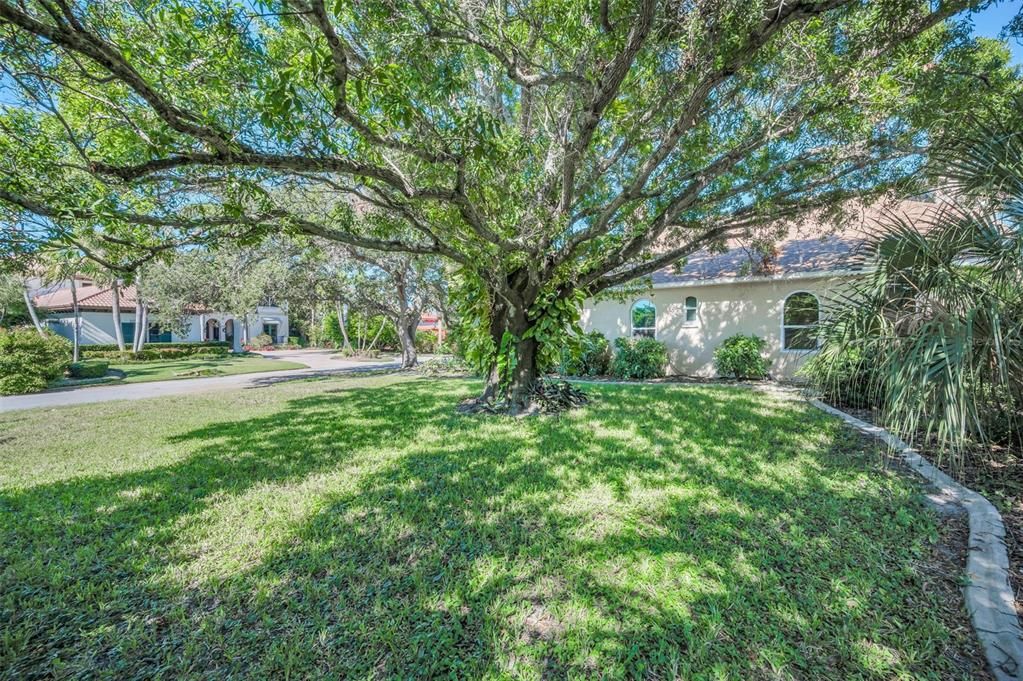 合同活跃: $1,190,000 (4 贝兹, 4 浴室, 3850 平方英尺)