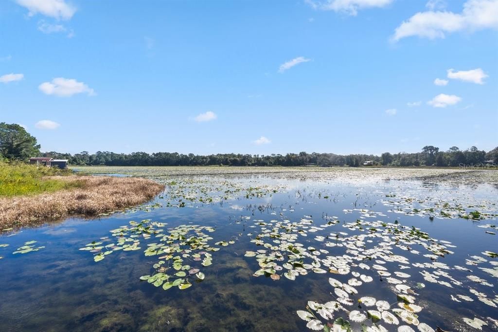 For Sale: $299,000 (3 beds, 1 baths, 1331 Square Feet)