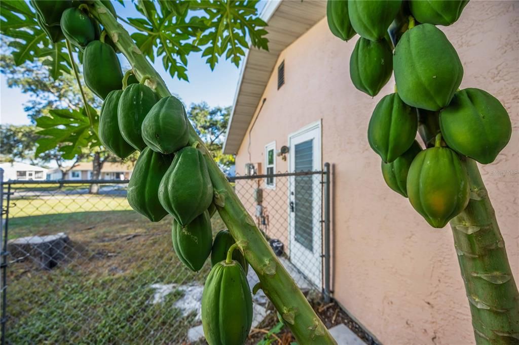 For Sale: $319,900 (3 beds, 2 baths, 1720 Square Feet)