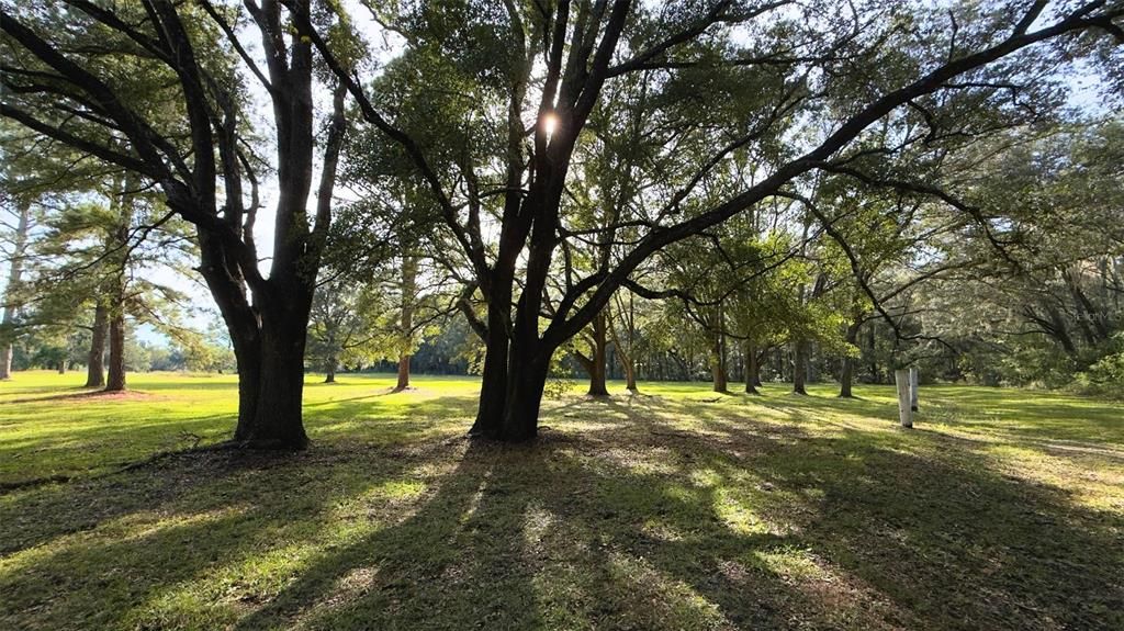 待售: $295,000 (5.01 acres)