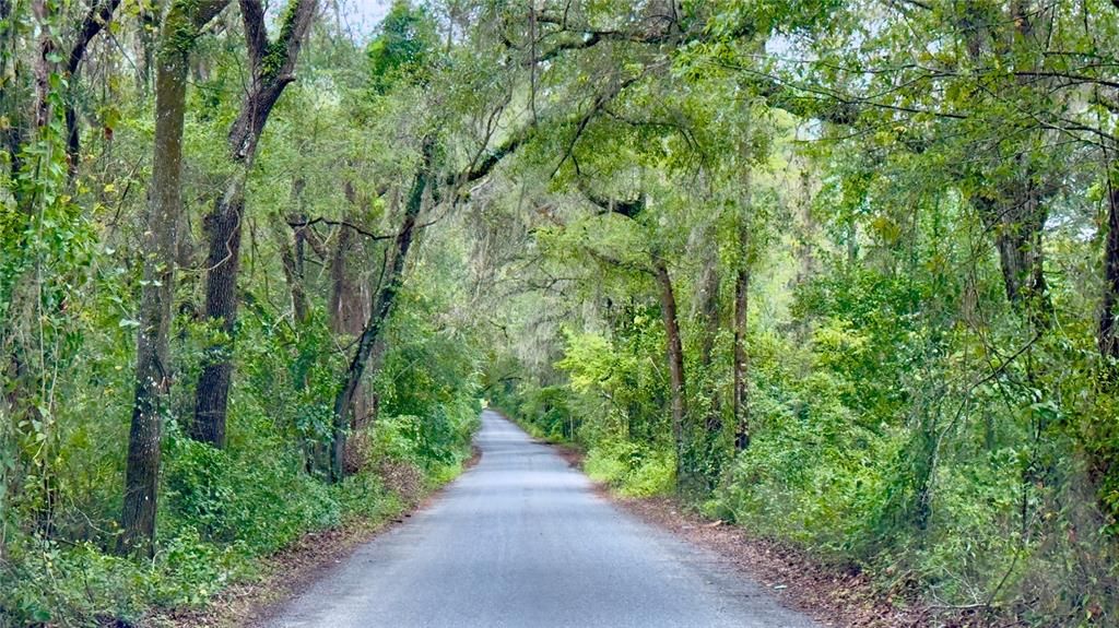 待售: $295,000 (5.01 acres)