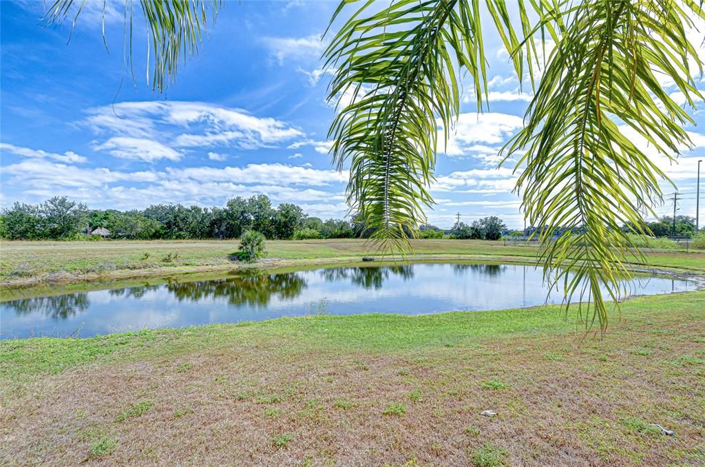 合同活跃: $379,000 (2 贝兹, 2 浴室, 1485 平方英尺)