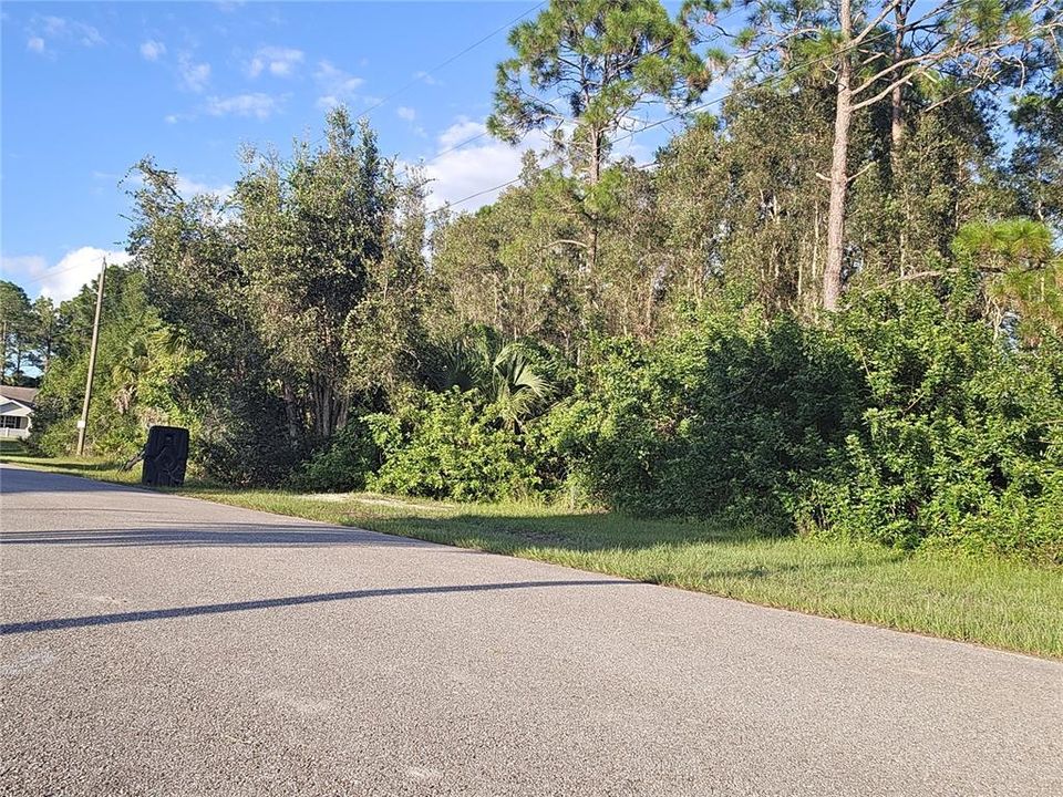 For Sale: $26,800 (0.25 acres)