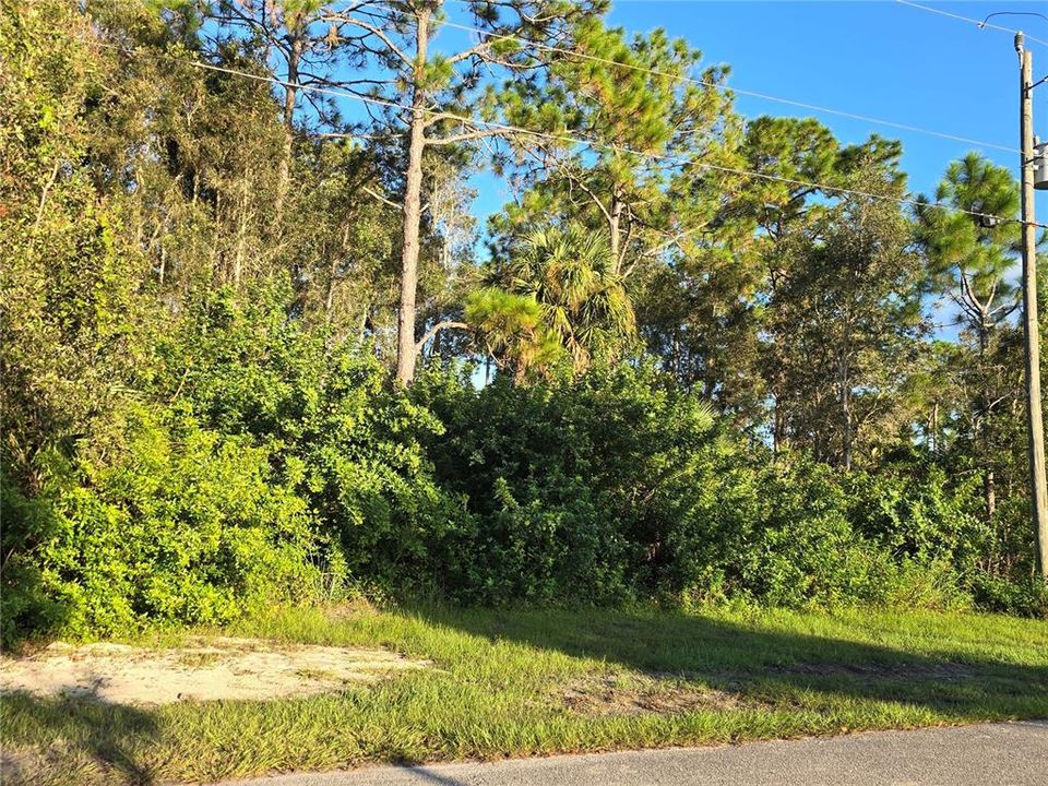 For Sale: $26,800 (0.25 acres)