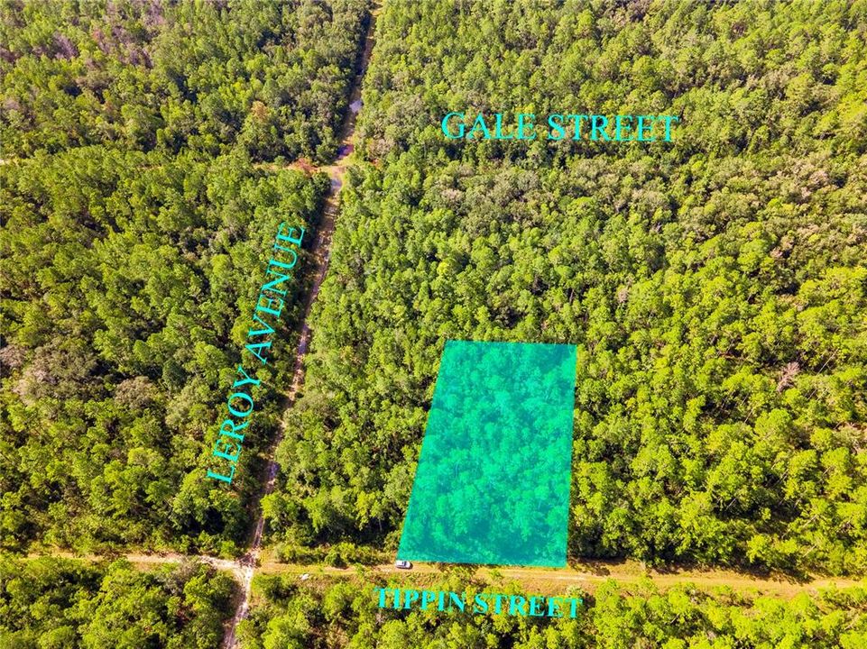 待售: $29,977 (1.25 acres)